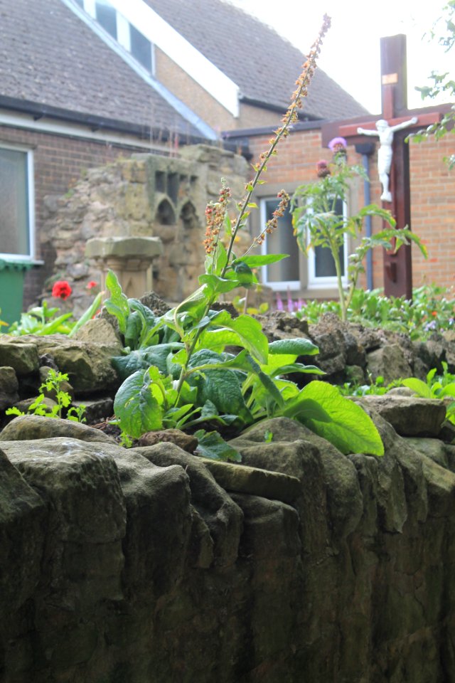 Ruined Walls To East Of Roman Catholic Church Of Sacred Heart And St Cuthbert