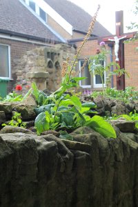 Ruined Walls To East Of Roman Catholic Church Of Sacred Heart And St Cuthbert