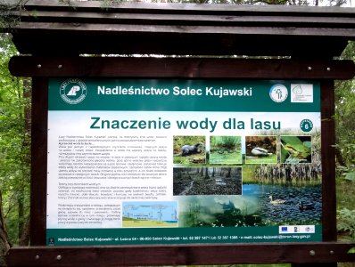 Rudy sciezkadydakt 4 7-2015