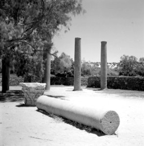Ruines op de Shephelah heuvels, Bestanddeelnr 255-2570