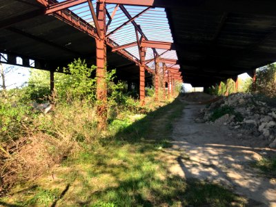 Ruine Alter Banhof 2