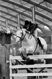 Ruiter Anton Ebben tijdens een sprong op paard Prins Ajax, Bestanddeelnr 918-3582