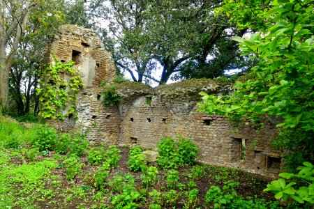 Ruins - Torrecchia Vecchia - Cisterna di Latina, Italy - DSC03422