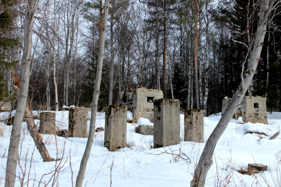 Ruins Korkeasaari Oulu 20130407