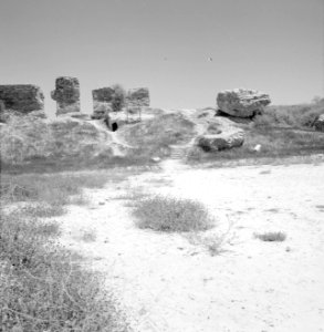 Ruines op de Shephelah heuvels, Bestanddeelnr 255-2567