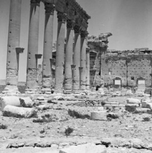 Ruines, Bestanddeelnr 250-8279