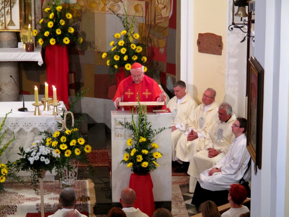Saint Lawrence feast day mass, Brežice, August 10, 2014 04