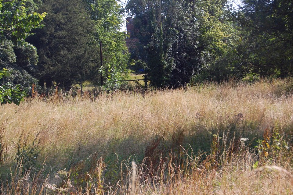 Ruins of Former St Nicholas' Chapel, Westbury House, East Meon (NHLE Code 1179009) (July 2019) (2)