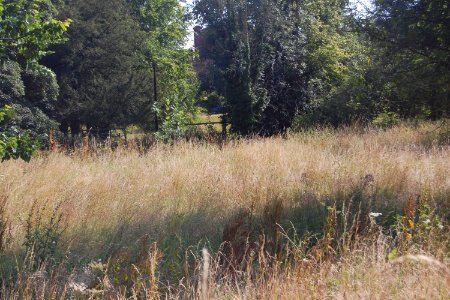 Ruins of Former St Nicholas' Chapel, Westbury House, East Meon (NHLE Code 1179009) (July 2019) (2)