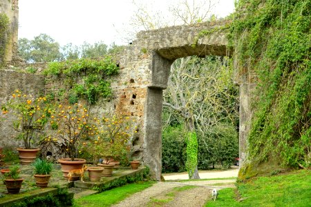 Ruins - Torrecchia Vecchia - Cisterna di Latina, Italy - DSC03461