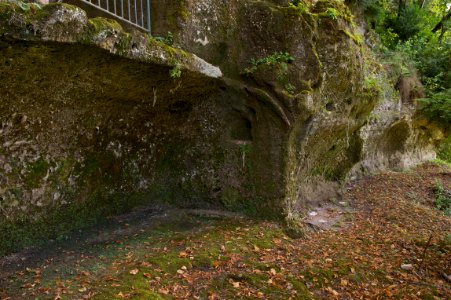 Ruines abattoir Roque Saint Christophe
