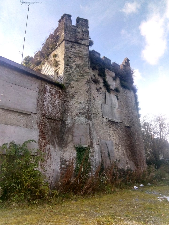 Saint David's Castle, Naas, Ireland
