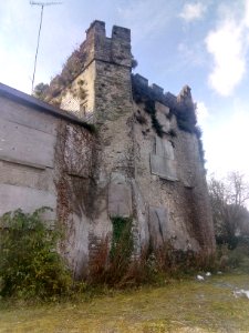 Saint David's Castle, Naas, Ireland