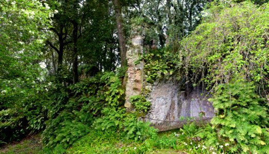 Ruined wall - Torrecchia Vecchia - Cisterna di Latina, Italy - DSC03374