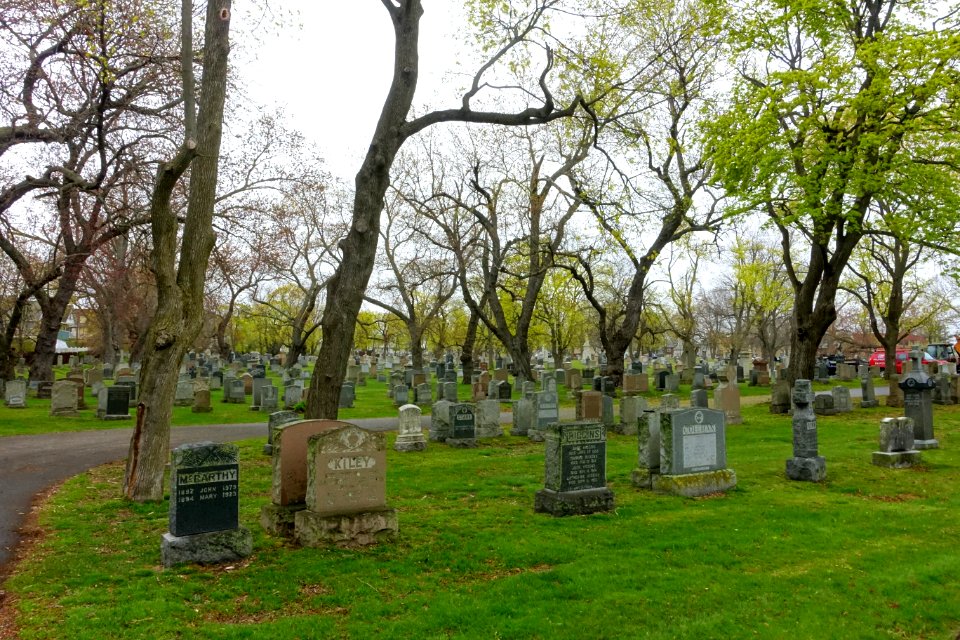 Saint Paul Cemetery - Arlington, MA - DSC01145