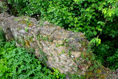 Ruined wall - Torrecchia Vecchia - Cisterna di Latina, Italy - DSC03308