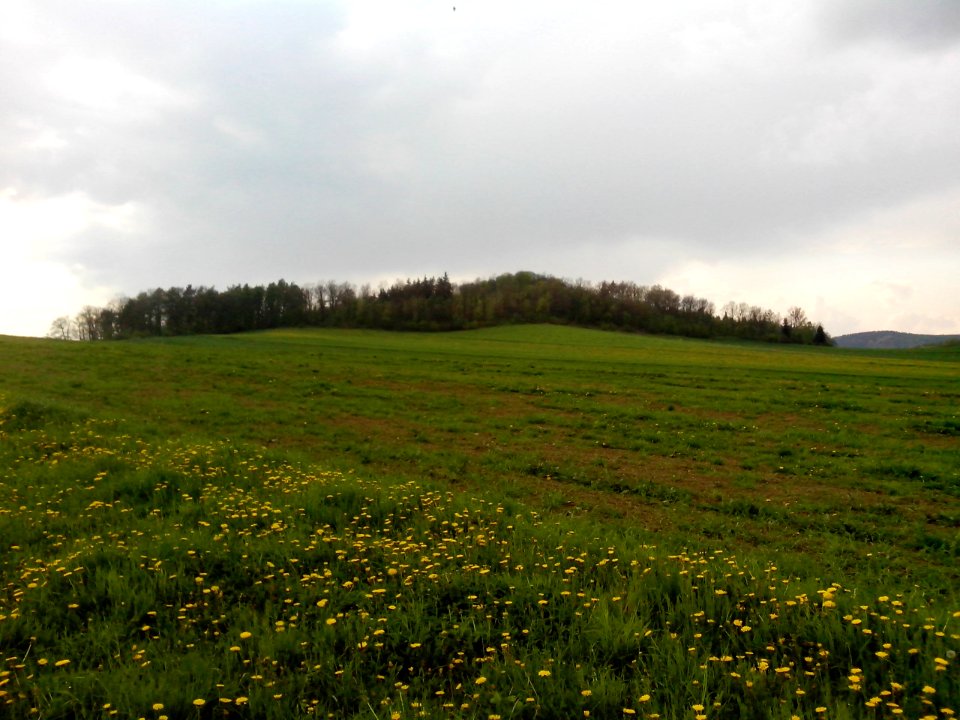 Ruinenberg Eckersdorf 2014 01