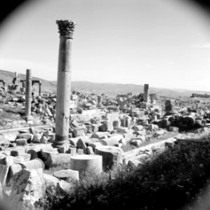 Ruines te Jerash, Bestanddeelnr 255-5723
