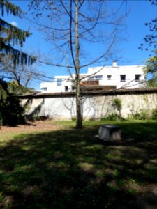 Sainte-Foy-lès-Lyon - Parc de la Mairie - Arbre du jumelage 2000