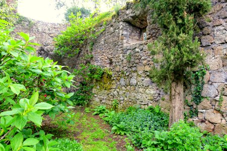Ruins - Torrecchia Vecchia - Cisterna di Latina, Italy - DSC03393