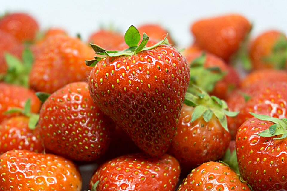 Close up fruits sweet