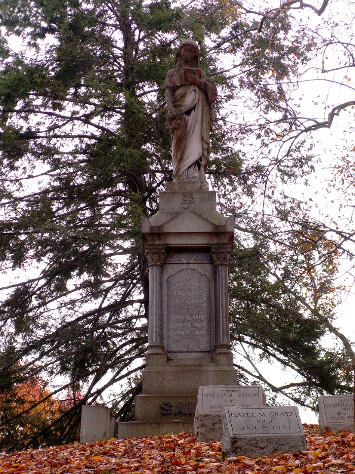 Saint Monument, Allegheny Cemetery, 2015-11-02, 02