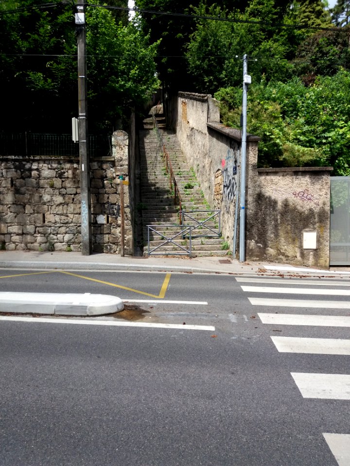 Sainte-Foy-lès-Lyon - Montée du Petit Sainte-Foy, depuis l'avenue Valioud