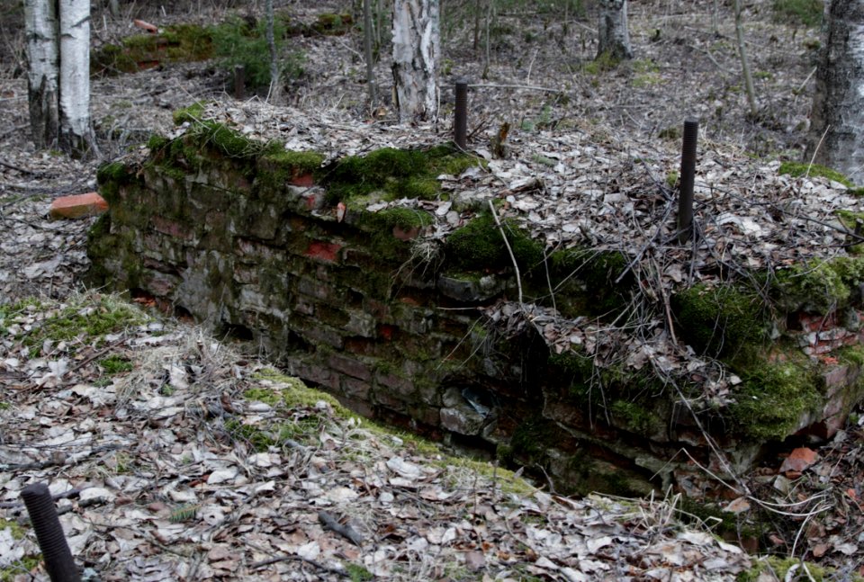 Ruins Korkeasaari Oulu 20140412 01