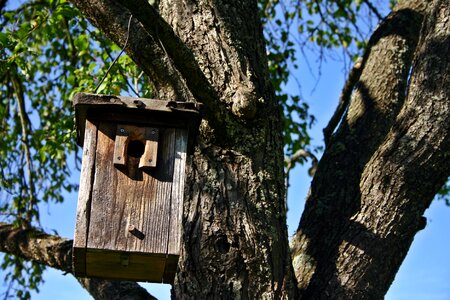 Aviary nesting place forest photo