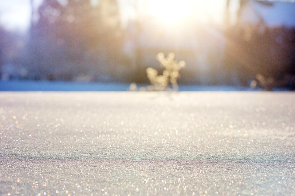 Snow bokeh winter nature