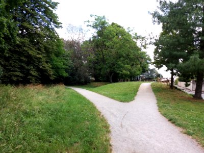 Sainte-Foy-lès-Lyon - Parc du Brûlet, allée le long de la rue Georges Clemenceau