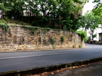 Sainte-Foy-lès-Lyon - Avenue Valioud, mur en pierre