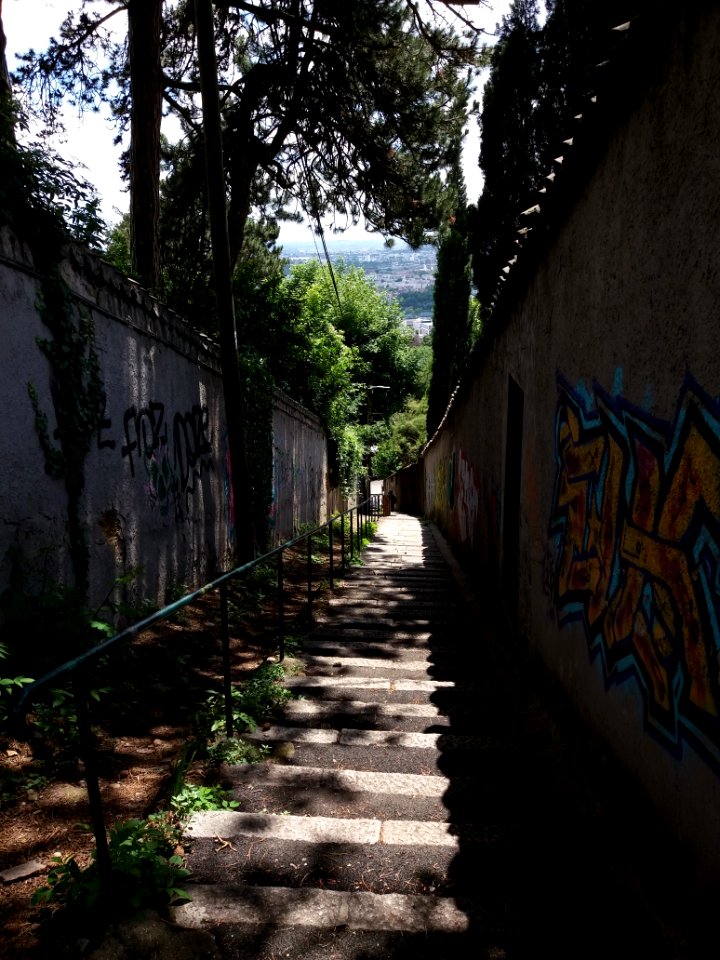Sainte-Foy-lès-Lyon - Montée du Petit Sainte-Foy, depuis la rue Georges Clemenceau