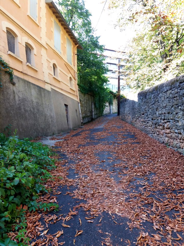 Sainte-Foy-lès-Lyon - Chemin Léon Favre - En montant depuis le chemin de Fontanières