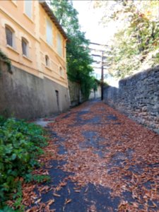 Sainte-Foy-lès-Lyon - Chemin Léon Favre - En montant depuis le chemin de Fontanières