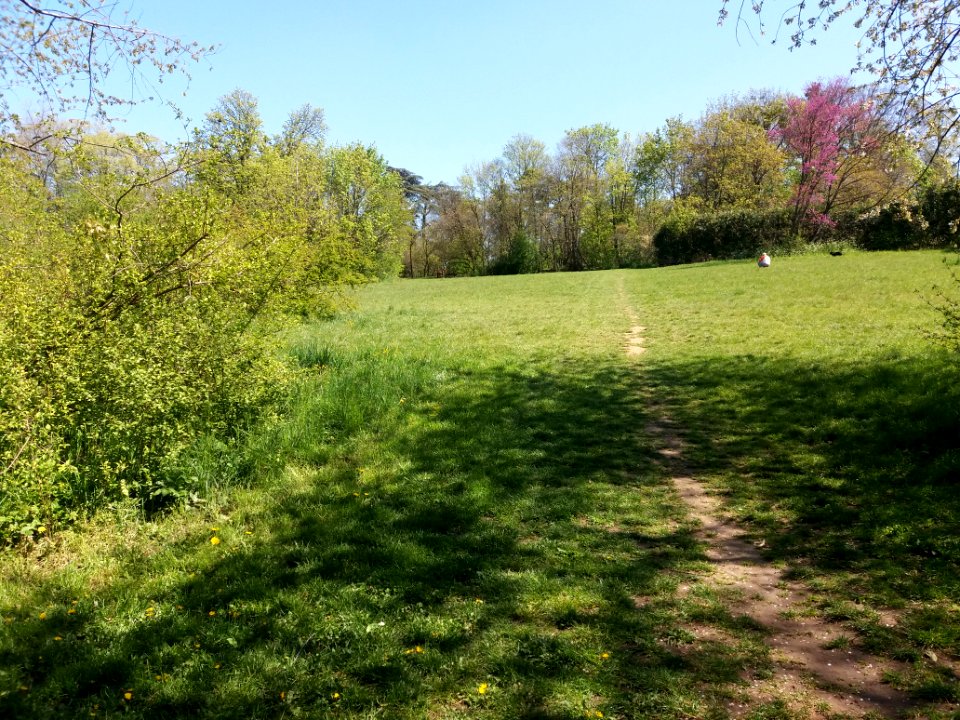 Sainte-Foy-lès-Lyon - Parc Mont-Riant - 01