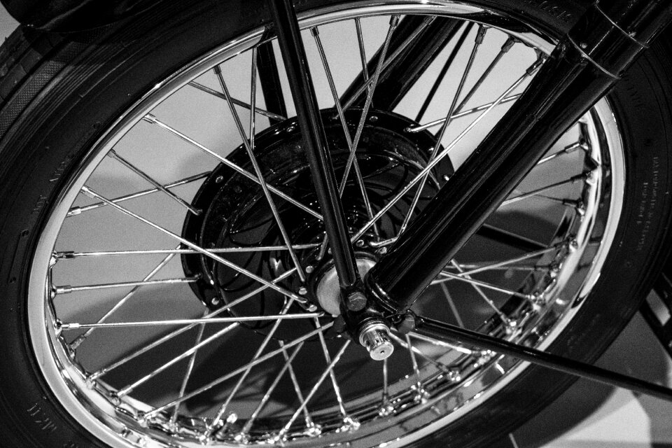 Black and white speed glitters