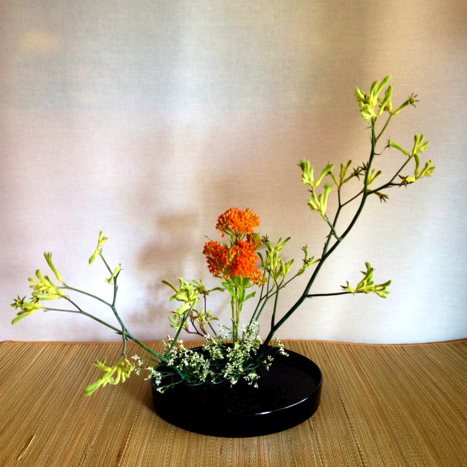 Saga Goryu moribana kōseitai (hidarigatte)
