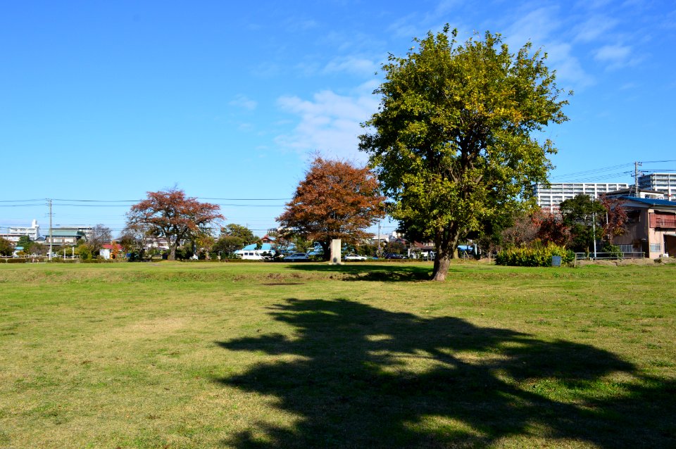 Sagami-kokubunji-ato kondou