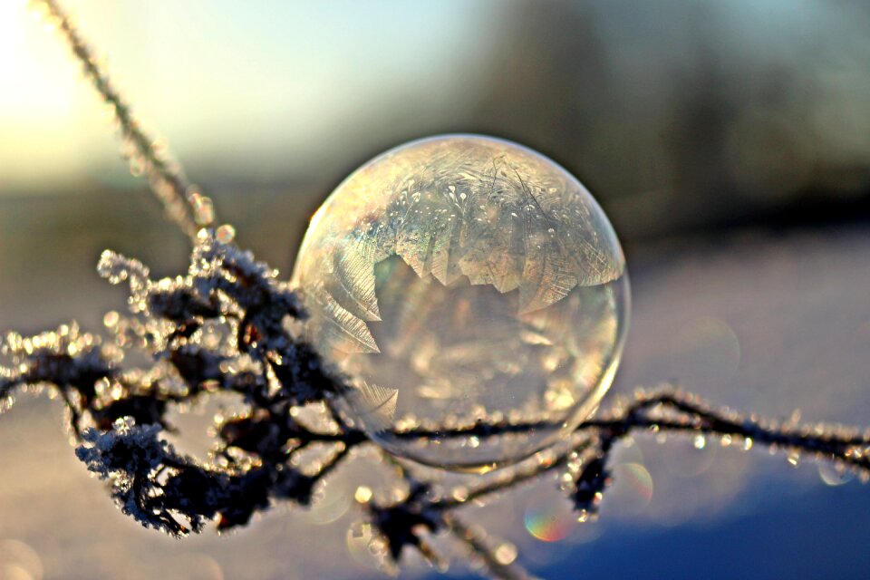 Winter eiskristalle cold