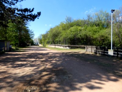 Sainte-Foy-lès-Lyon - Parc Marius Bourrat - Allée