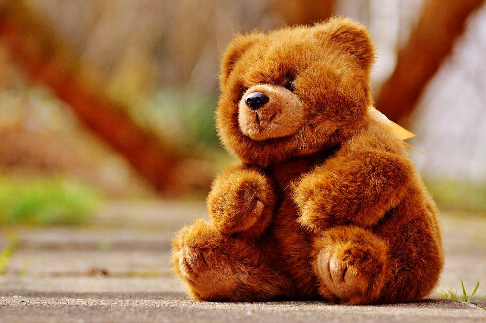 Stuffed animal teddy bear brown bear