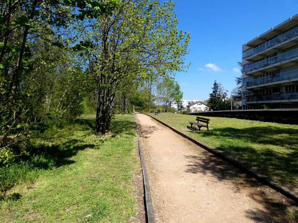 Sainte-Foy-lès-Lyon - Parc Mont-Riant - Allée, le long de la rue Joseph Ricard