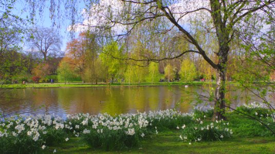 Saint James's Park photo