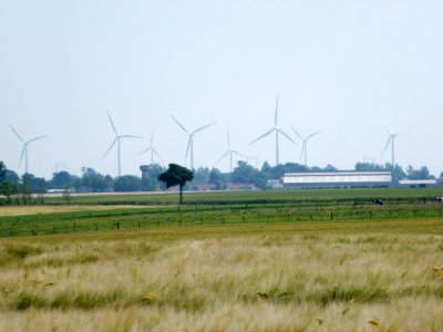 Sains-lès-Pernes (Pas-de-Calais, Fr) eoliennes (02)