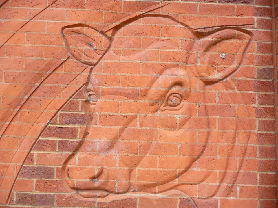 Sainsbury's in Market Harborough 12