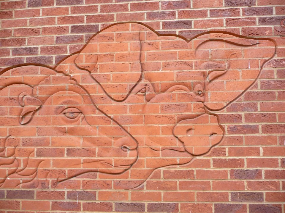 Sainsbury's in Market Harborough 08
