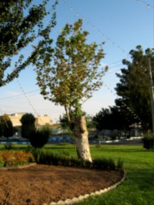 Sadeghi sq - Khayyam boulevard - Nishapur 06
