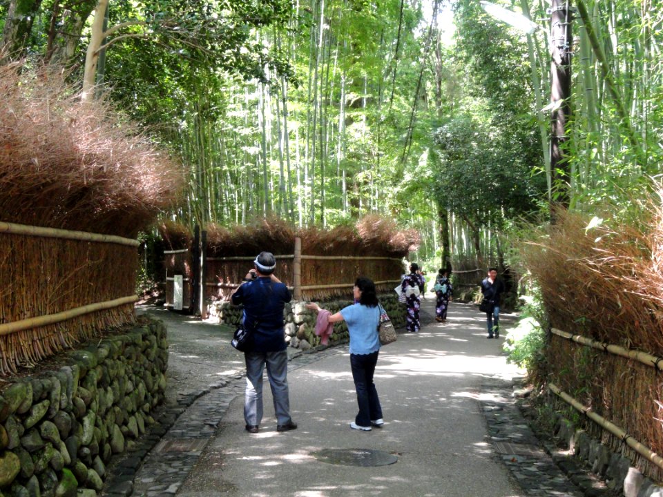 Sagano, Kyoto - DSC06097