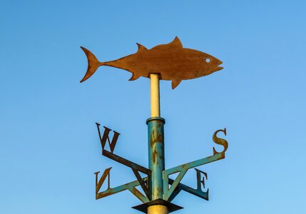 Orientation west east